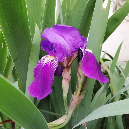 Peaceful House - Short Drive To The Sea *