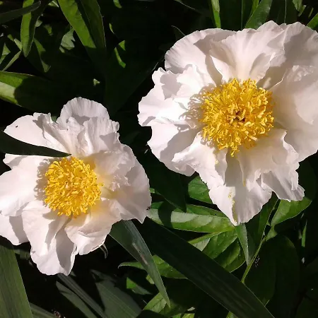 Peaceful House - Short Drive To The Sea Dom wakacyjny