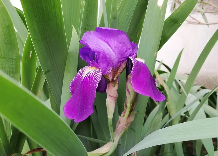 Peaceful House - Short Drive To The Sea *