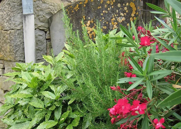 Holiday home Peaceful House - Short Drive To The Sea *