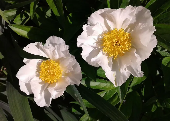 Peaceful House - Short Drive To The Sea Holiday home